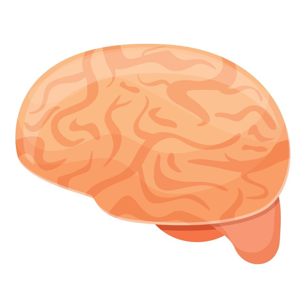menselijk hersenen onderwijs icoon, tekenfilm stijl vector