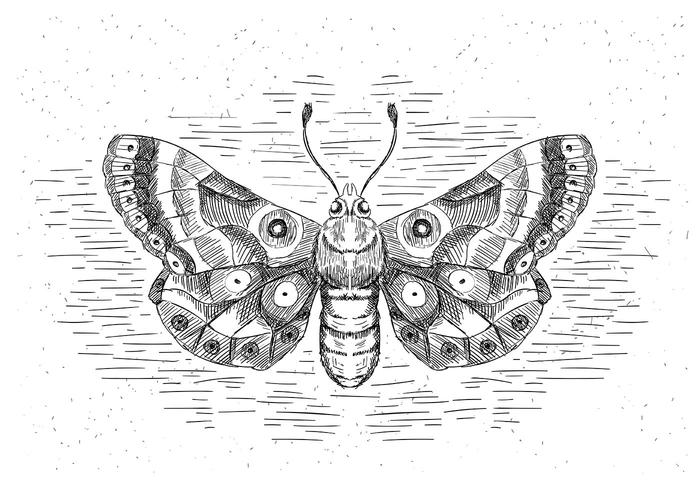 Gratis Hand Drawn Vector Butterfly