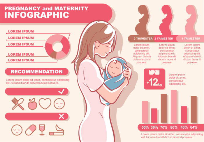 Zwangerschap en moederschap Infographic vector