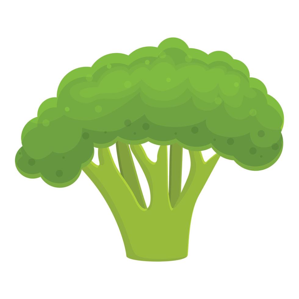 markt broccoli icoon, tekenfilm stijl vector