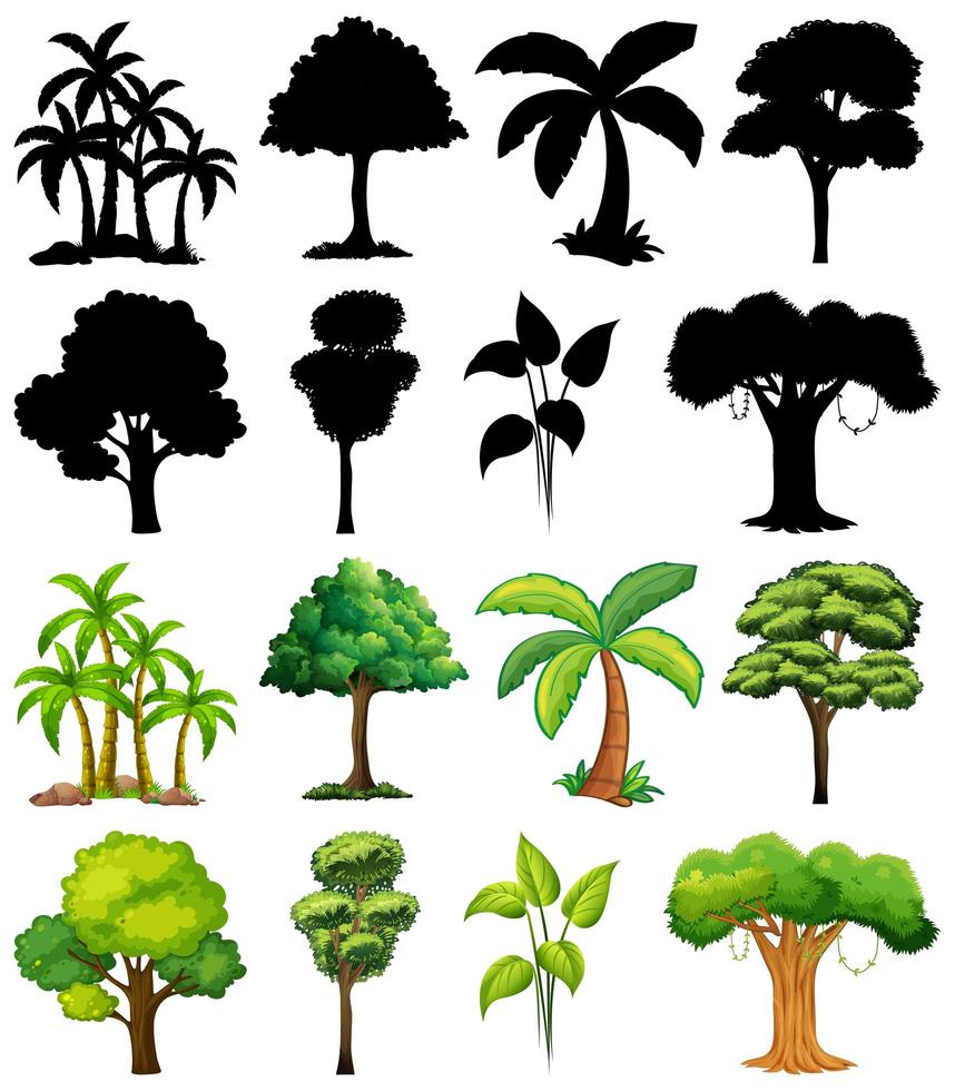 set van plant en boom met zijn silhouet vector