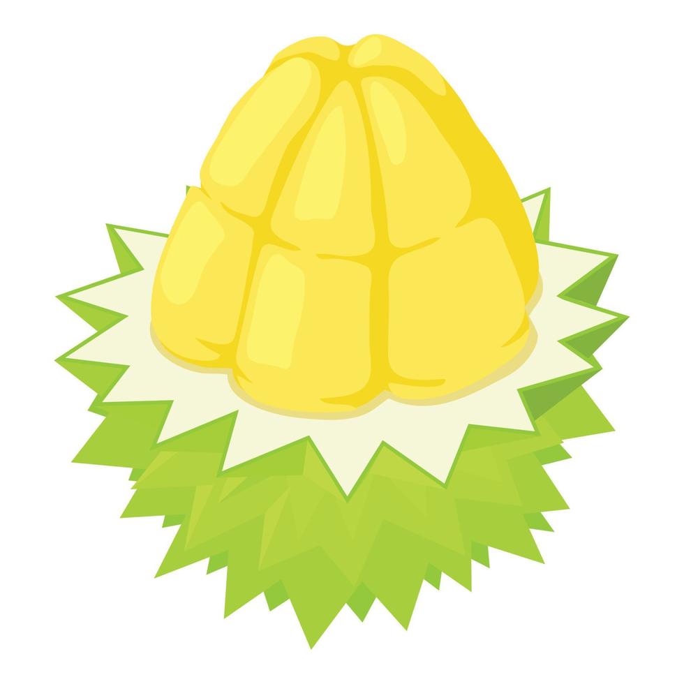 voor de helft durian fruit icoon, isometrische stijl vector