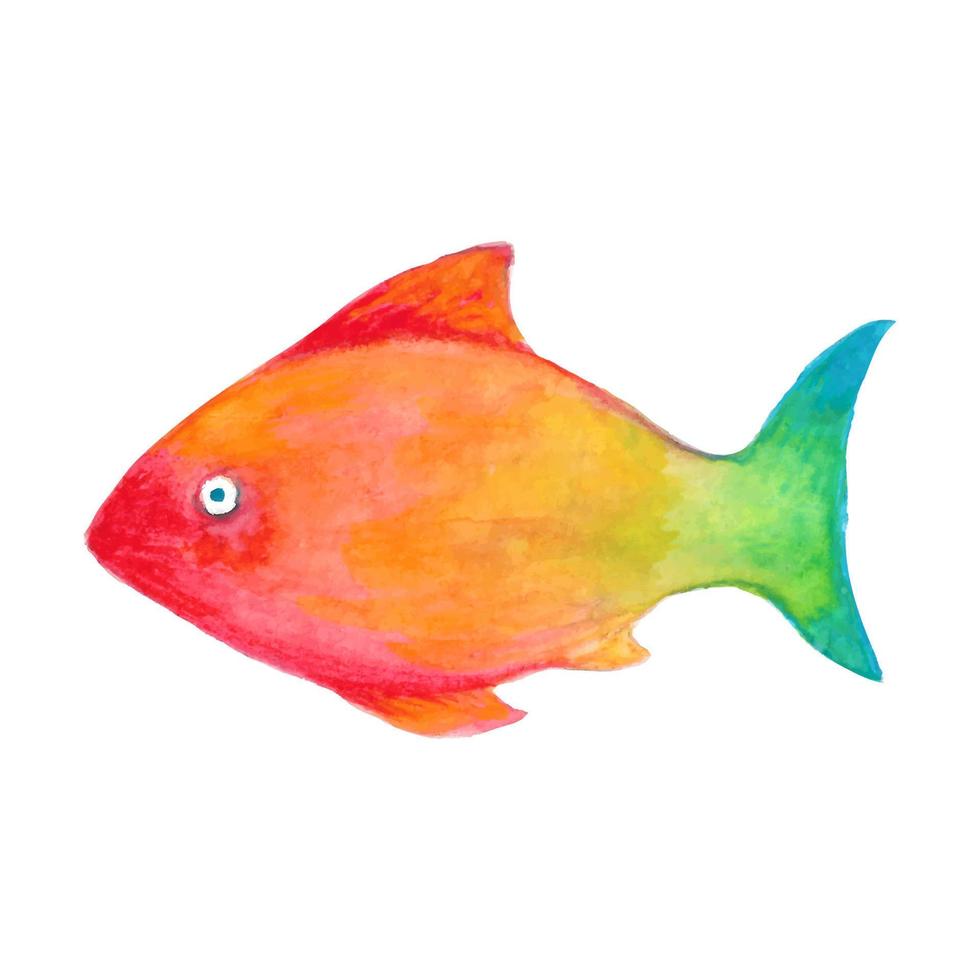 waterverf tekenfilm vis. hand- getrokken vector illustratie van onderwater- bewoner geïsoleerd Aan wit achtergrond.