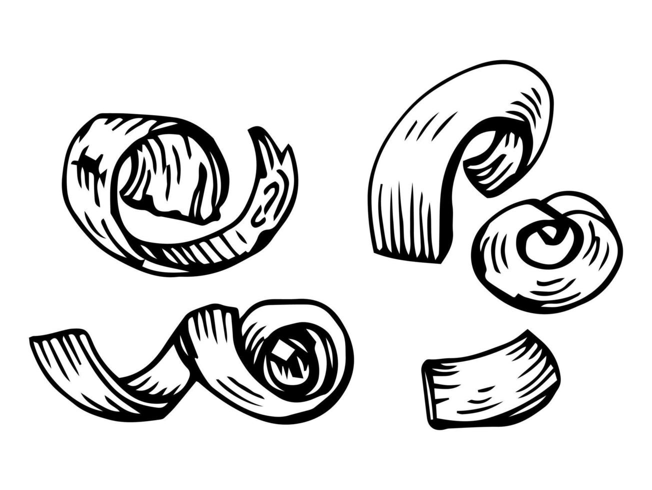 houten krullen of chips. gekruld hout Pel van snijwerk en timmerwerk werk, dichtbij omhoog, gedetailleerd tekening. timmerhout industrie themed geïsoleerd hand- getrokken schetsen illustratie Aan wit achtergrond. vector
