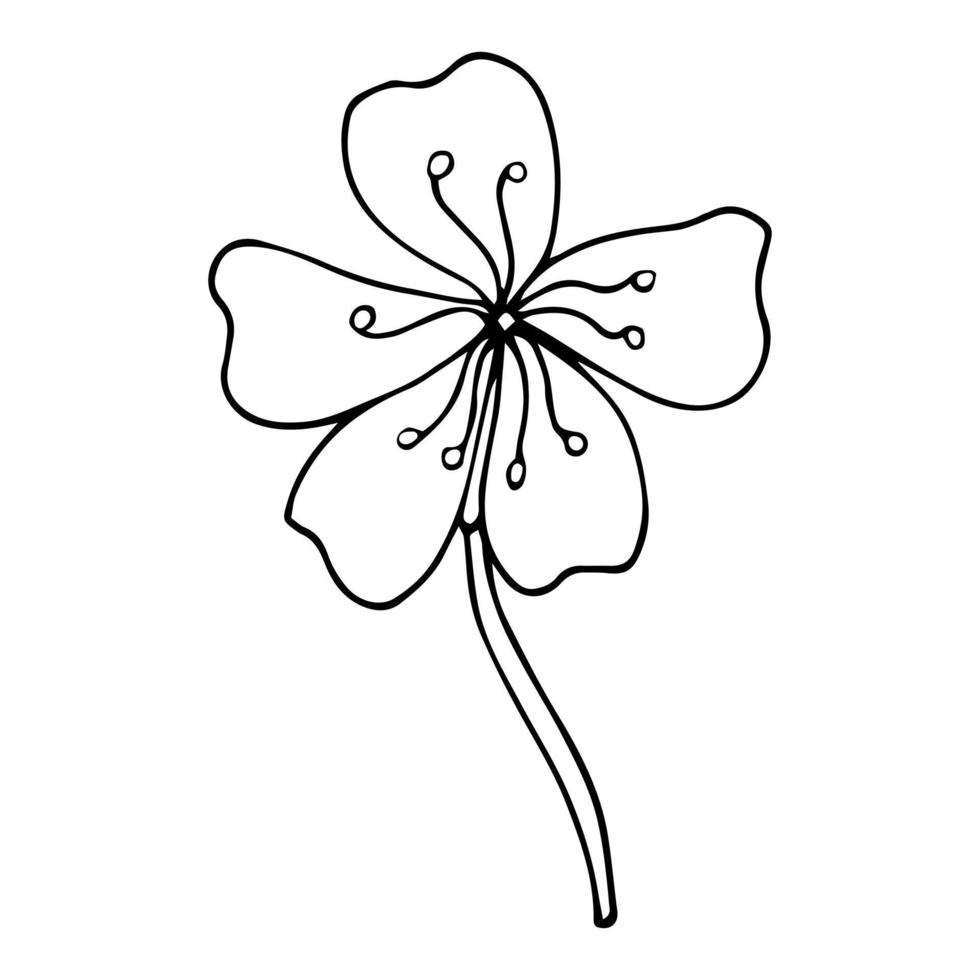 sakura bloem doodle pictogram. achterlijn geïsoleerd op wit. een lijn contour bloemen tekening.vector afbeelding vector