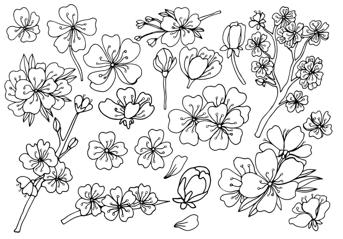 reeks van geïsoleerd sakura stijlen. schattig hand- getrokken bloem vector illustratie in zwart schets en wit vlak Aan wit achtergrond.