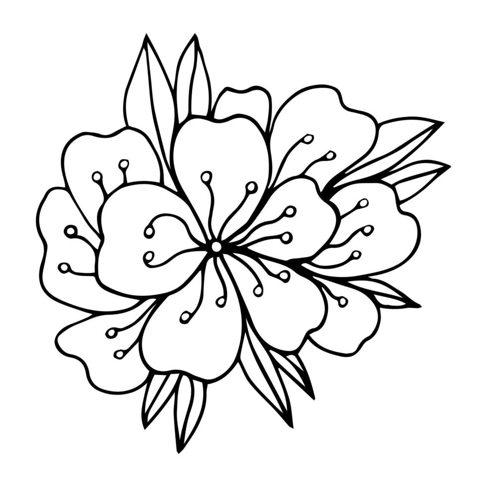 sakura bloem doodle pictogram. achterlijn geïsoleerd op wit. een lijn contour bloemen tekening.vector afbeelding vector