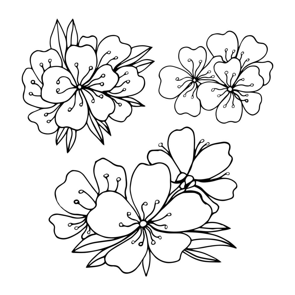 vector illustratie sakura kers, Afdeling met bloeiend bloemen, Japan bloemen