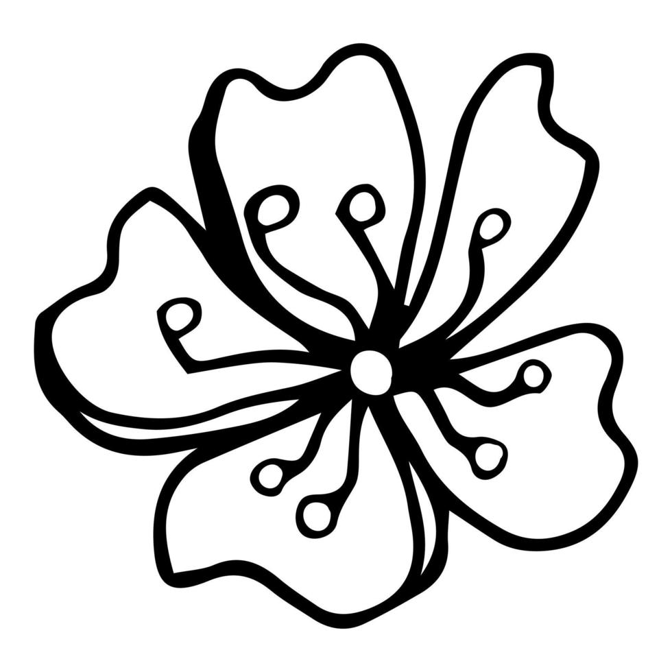 sakura bloem doodle pictogram. achterlijn geïsoleerd op wit. een lijn contour bloemen tekening.vector afbeelding vector