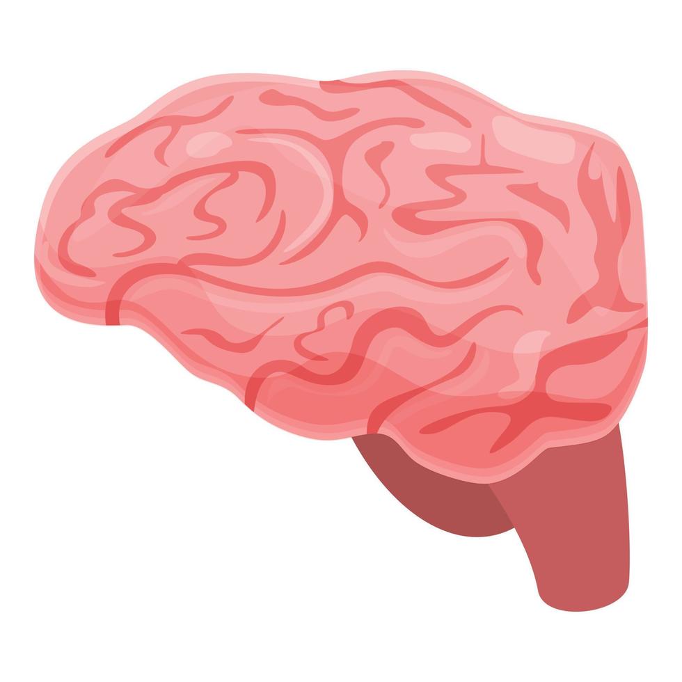 menselijk hersenen spinal icoon, tekenfilm stijl vector