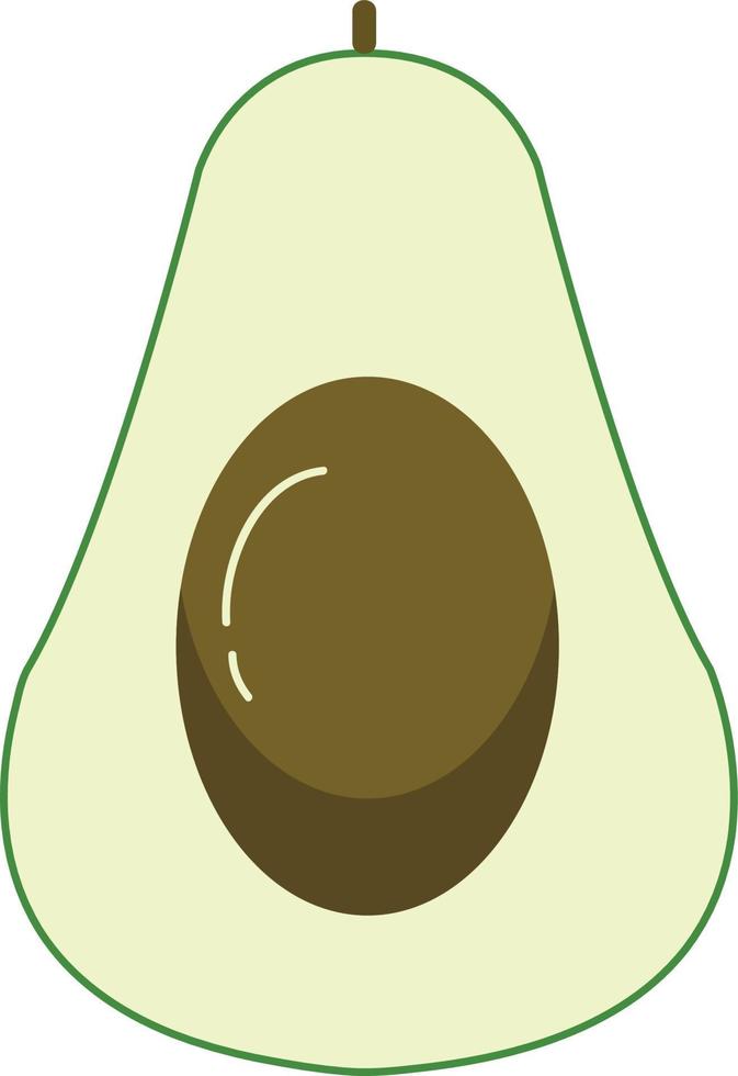 hand- getrokken stijl fruit avocado vector