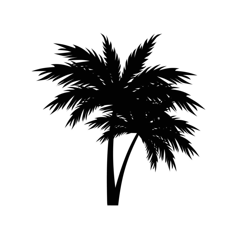 zwart silhouetten van tropisch palm bomen vector Aan wit achtergrond