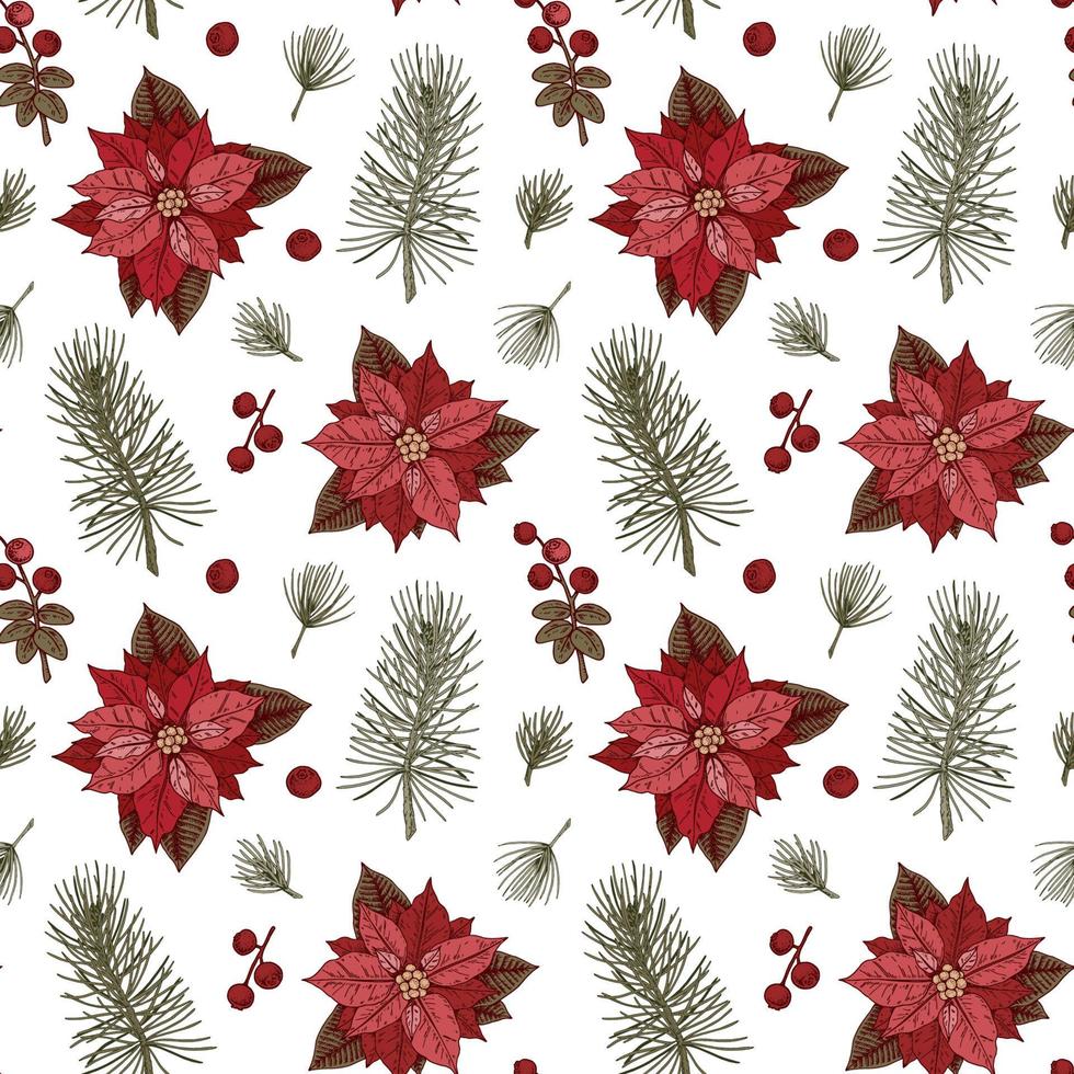 vrolijk Kerstmis en gelukkig nieuw jaar naadloos patroon met kerstster bloemen. vector illustratie in schetsen stijl. feestelijk achtergrond