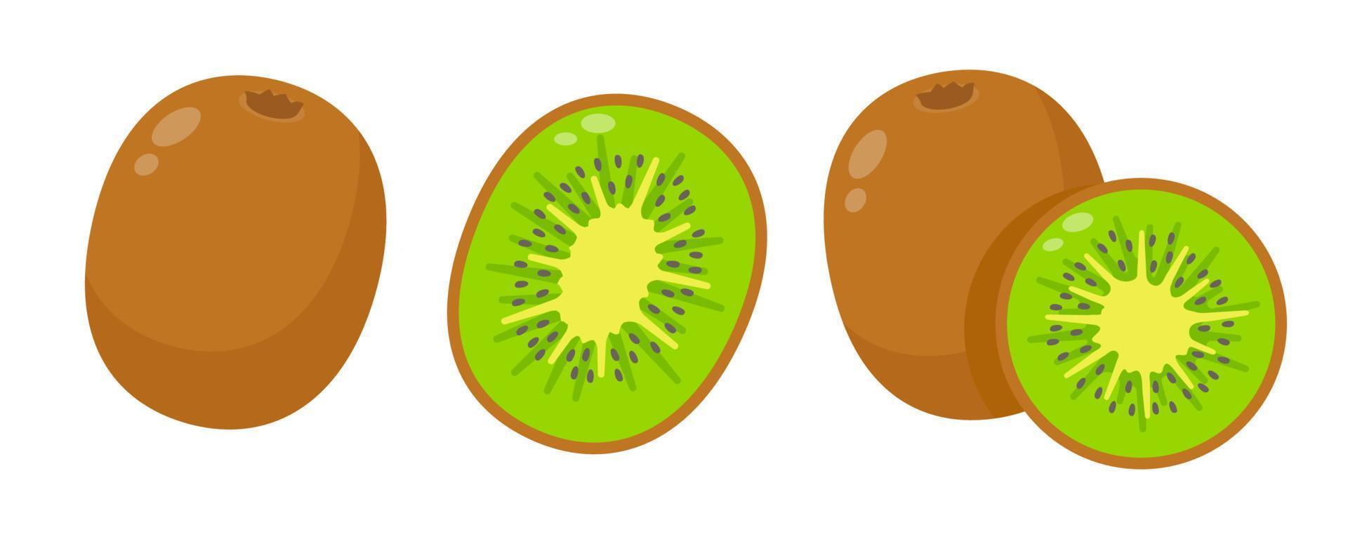 gehalveerd kiwi fruit gezond voedsel voor vegetariërs vector