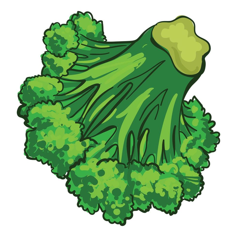 broccoli groente icoon, tekenfilm stijl vector