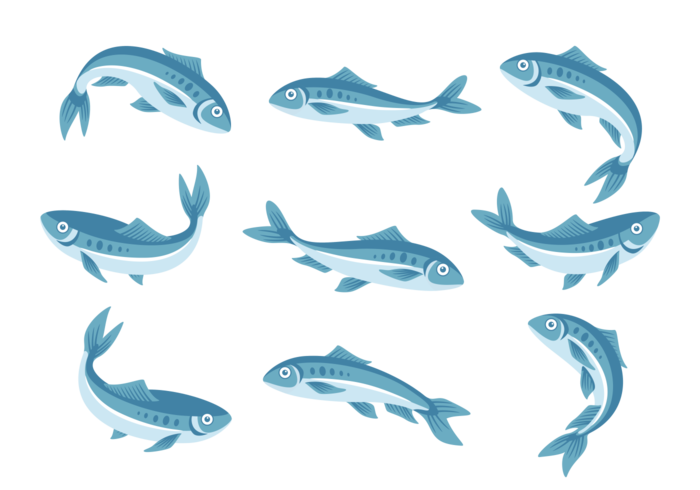 Sardine Icons Vector