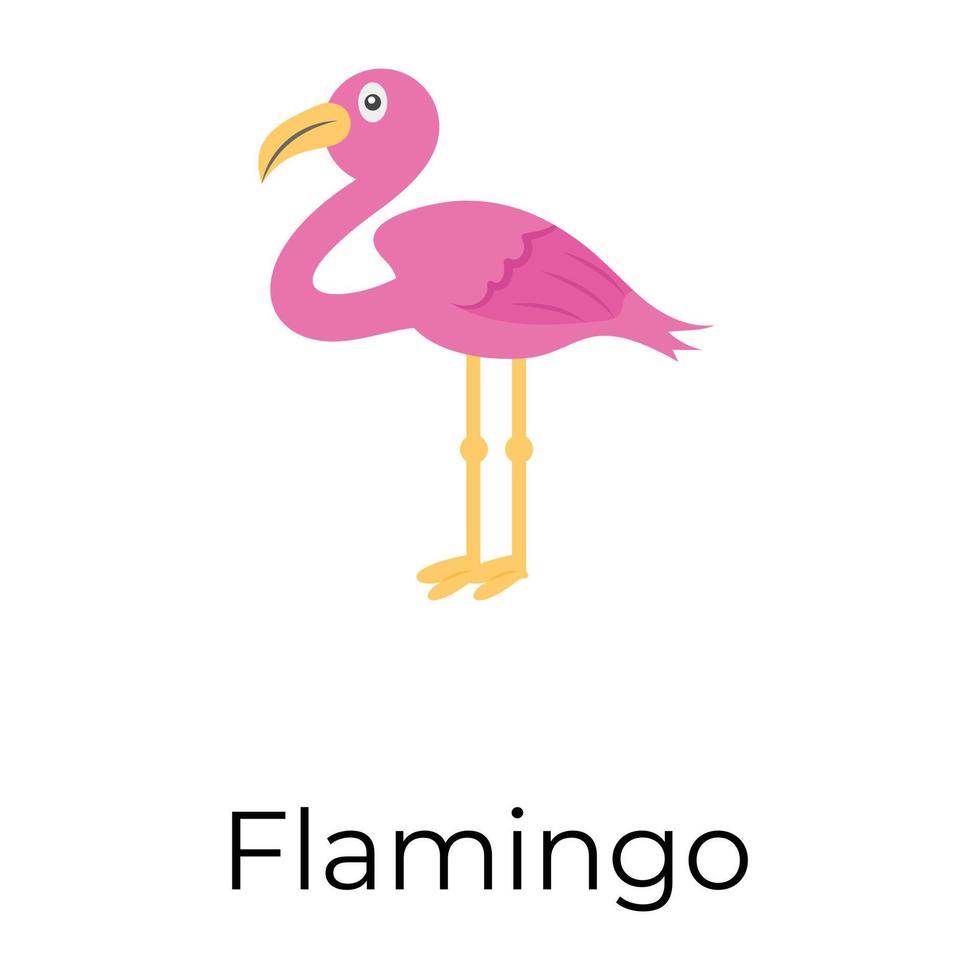 trendy flamingo concepten vector