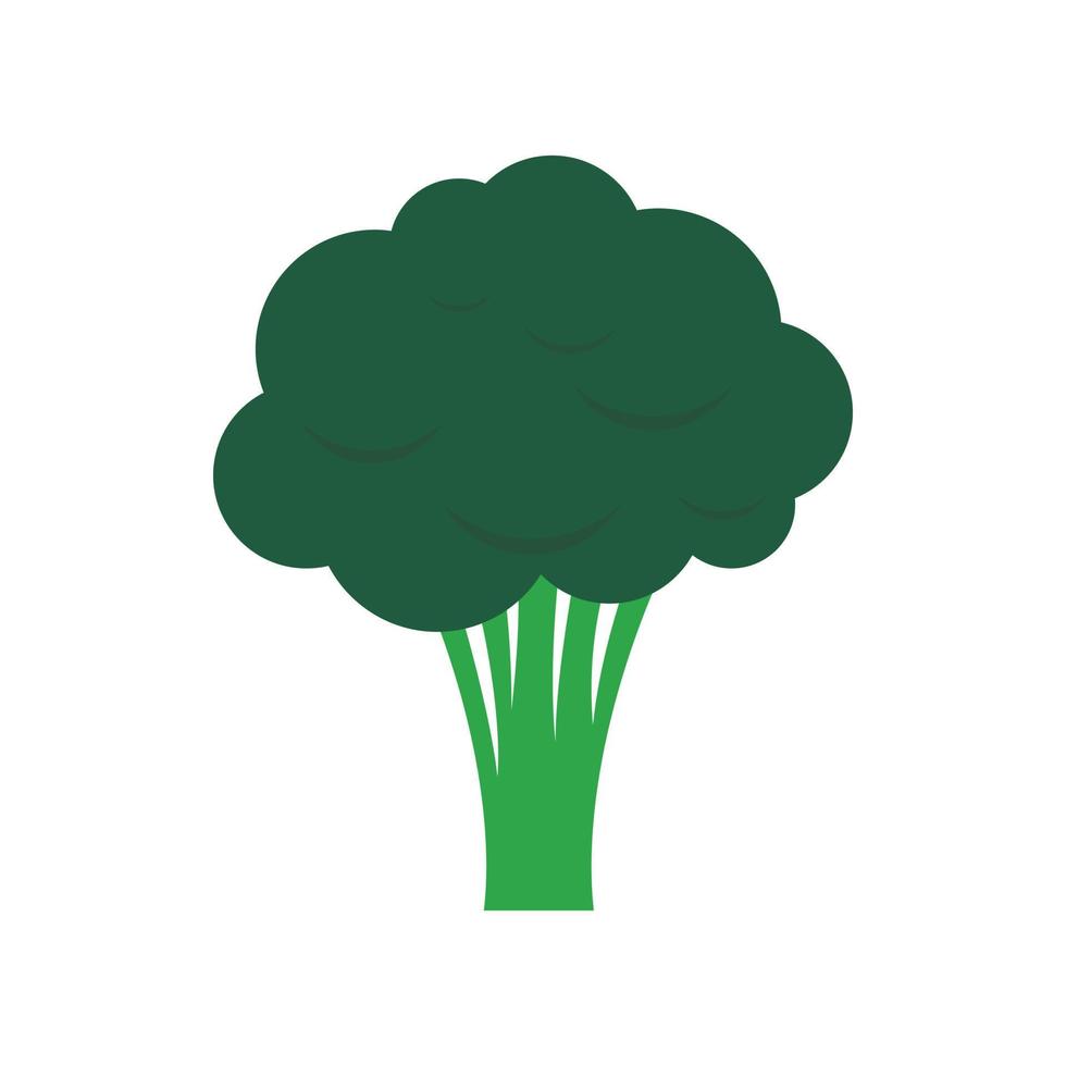 broccoli icoon in vlak stijl vector