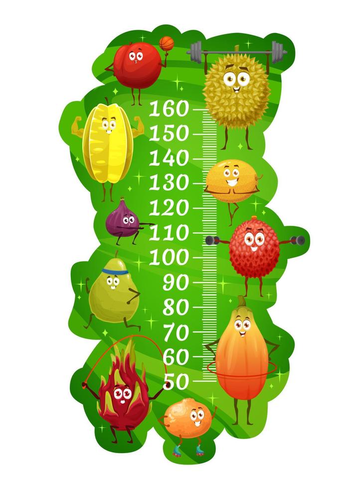 kinderen hoogte tabel van exotisch fruit Aan geschiktheid vector