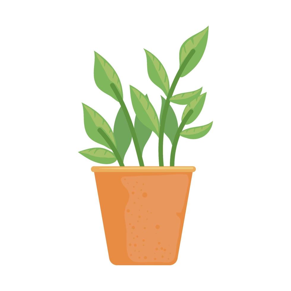 kamerplant in pot vector