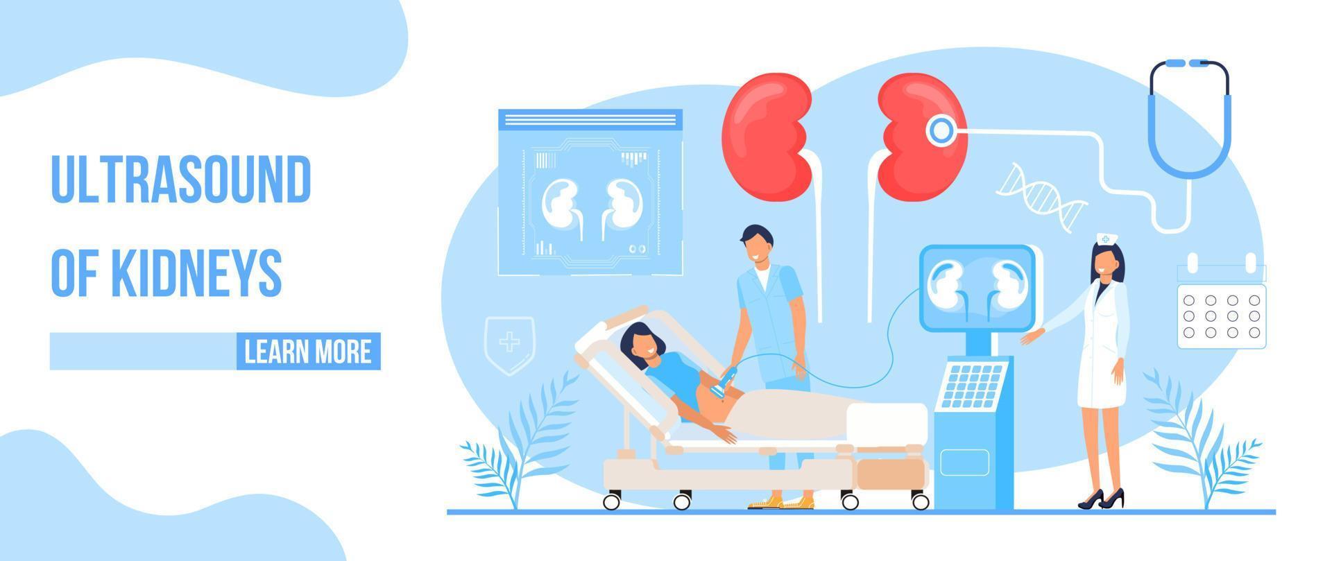 echografie van nieren concept vector. pyelonefritis, ziekten en nier stenen illustratie. dokter Onderzoek cystitis, urolithiase, nefropathie, nier- mislukking vector