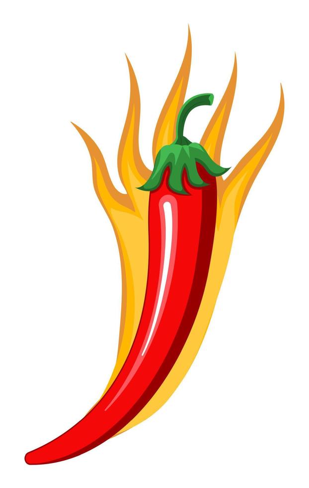 rood koud paprika's zijn brandend net zo pittig teken. tekenfilm vector geïsoleerd Aan de wit achtergrond. heet pepers in brand voor voedsel logo, banier, folder