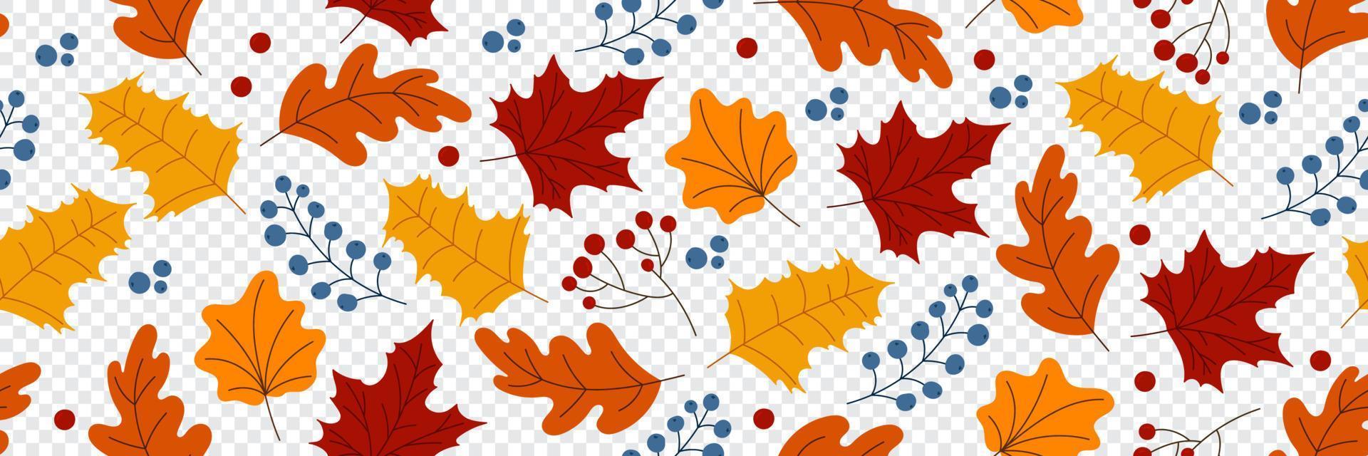 lang naadloos herfst patroon met bessen en bladeren. herfst naadloos patroon. charmant herfst patroon. hand- getrokken. vector illustratie