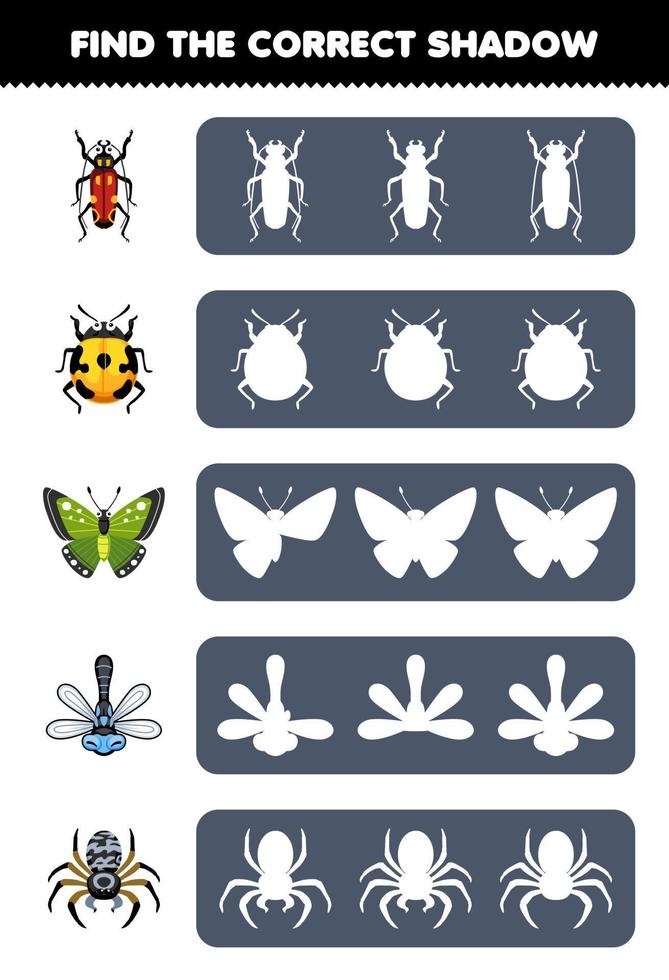 onderwijs spel voor kinderen vind de correct schaduw silhouet van schattig tekenfilm kever lieveheersbeestje vlinder libel spin afdrukbare kever werkblad vector