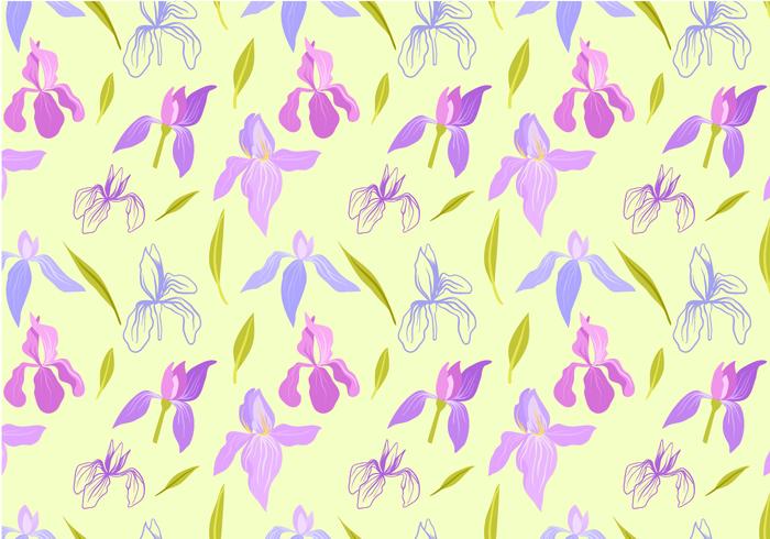 Gratis Iris Pattern vectoren