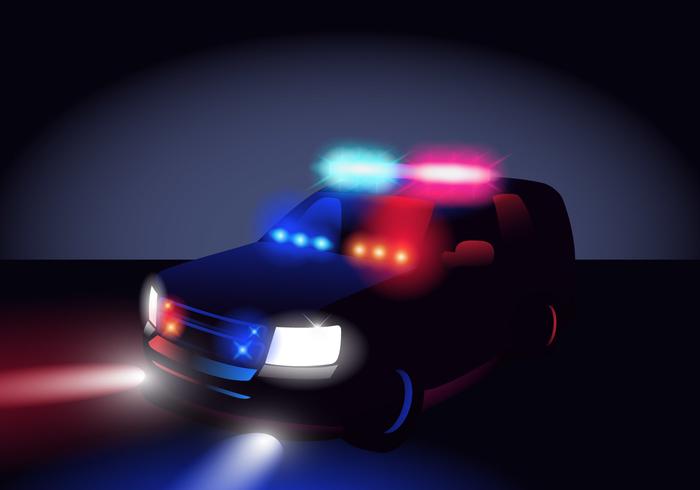 Politie licht in het donker vector