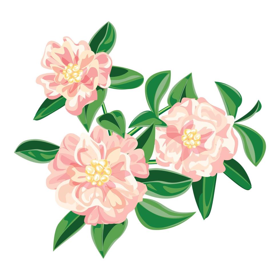 tuin roze camelia icoon, tekenfilm stijl vector