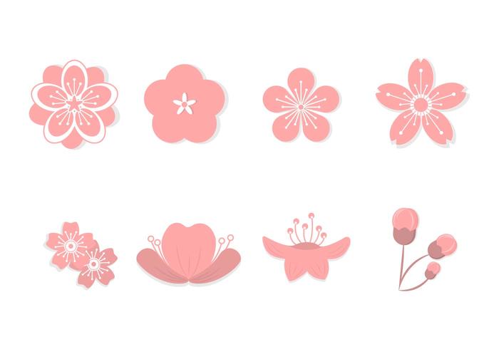 Flat Peach Blossom Vectors