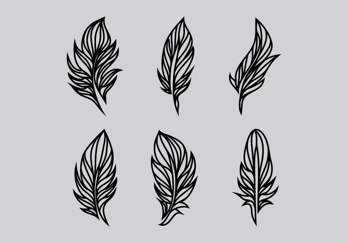 Feather Vector