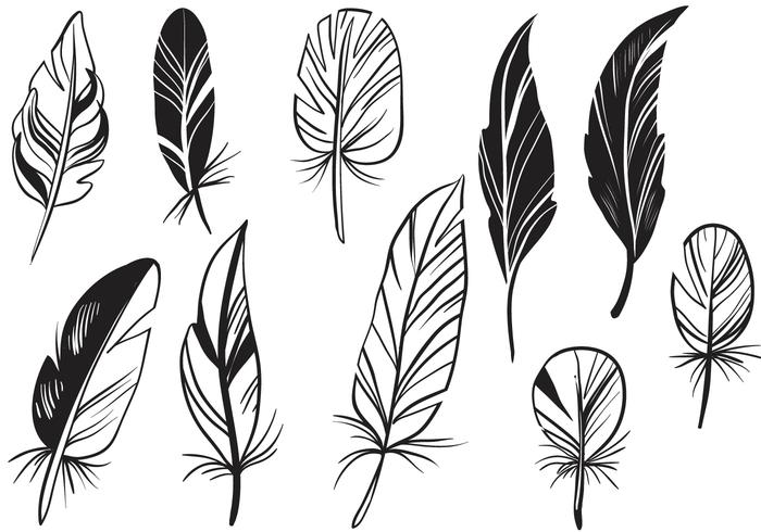 Gratis Feathers Vectoren