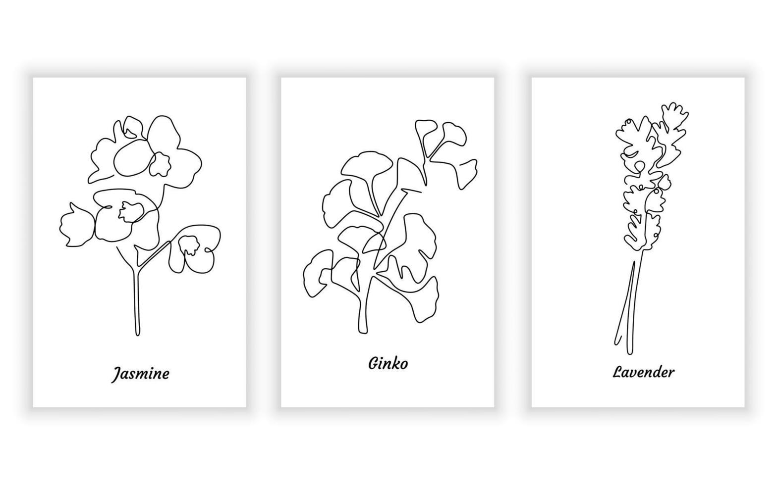 elegant bloem in een lijn kunst stijl. doorlopend lijn kunst in minimalistisch voor logo en afdrukbare ontwerp. vector illustratie. jasmijn ginko en lavendel bloem