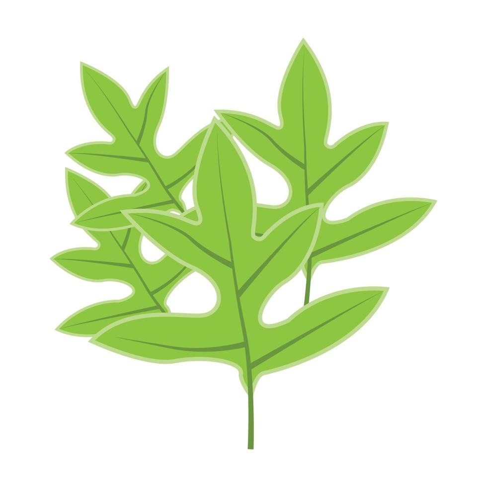 blad logo groen fabriek ontwerp bladeren van bomen Product merk sjabloon illustratie vector