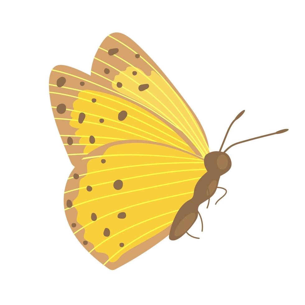 single kleurrijk vlinder geïsoleerd Aan wit achtergrond. exotisch tropisch insect met helder Vleugels en antennes. vector
