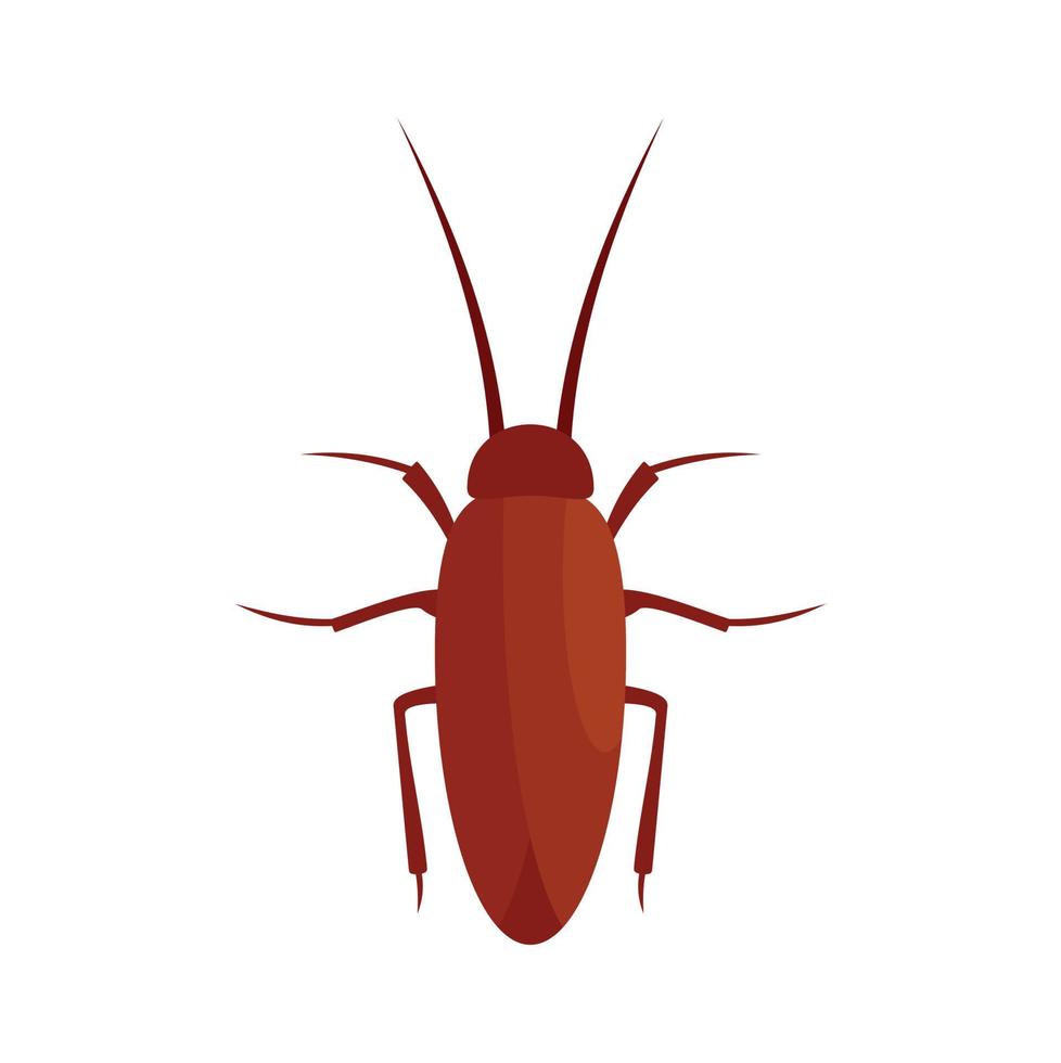 kakkerlak insect icoon, vlak stijl vector