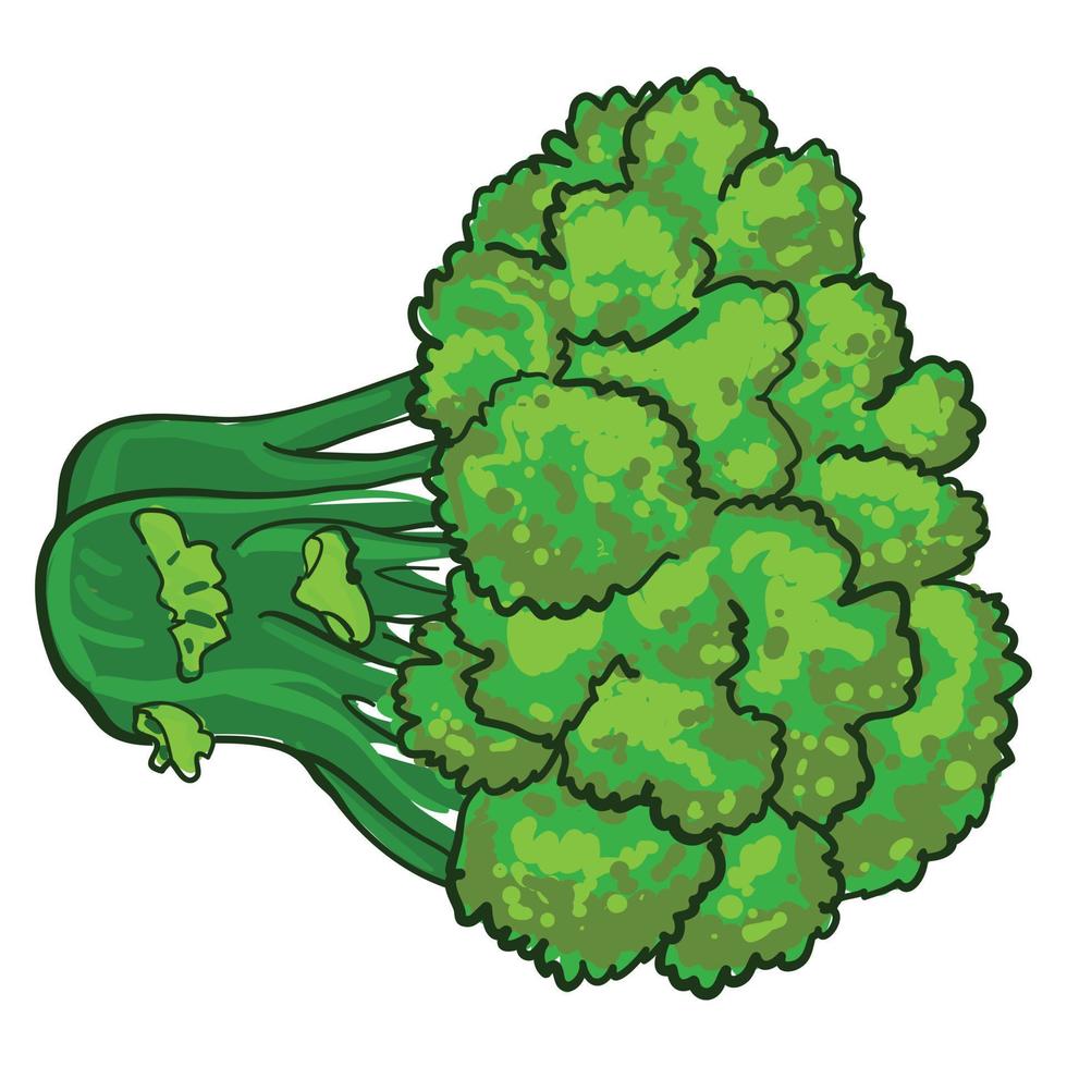 eco broccoli icoon, tekenfilm stijl vector
