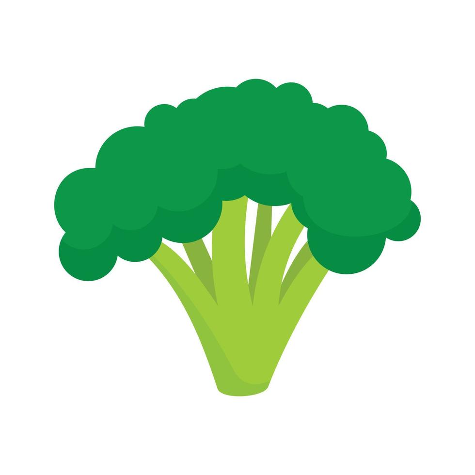broccoli icoon, vlak stijl vector