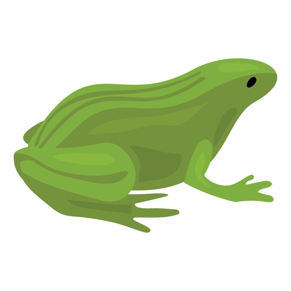 groen kikker icoon, tekenfilm stijl vector
