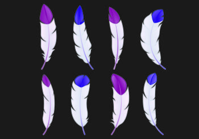 Set Van Pluma Vectors