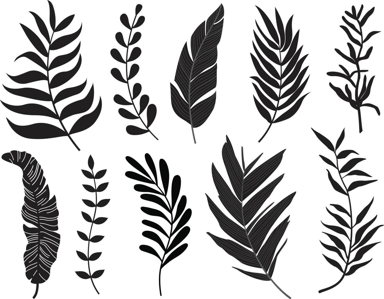 lijn tekening vector monstera blad en palm boom bladeren. modern single lijn kunst, esthetisch contour. perfect voor huis decor zo net zo affiches, muur kunst