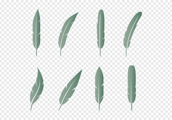 Feather Icons Set vector