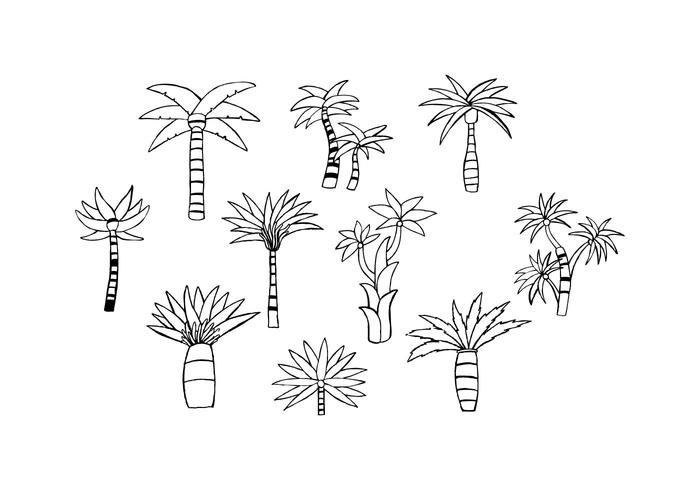 Gratis Palm Hand Drawn Vector