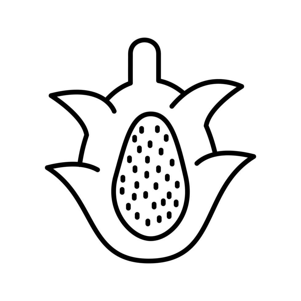 draak fruit vector icoon