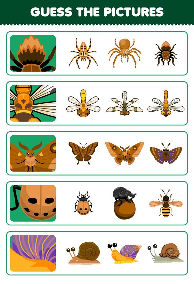 onderwijs spel voor kinderen Raad eens de correct afbeeldingen van schattig tekenfilm spin libel vlinder lieveheersbeestje slak afdrukbare kever werkblad vector