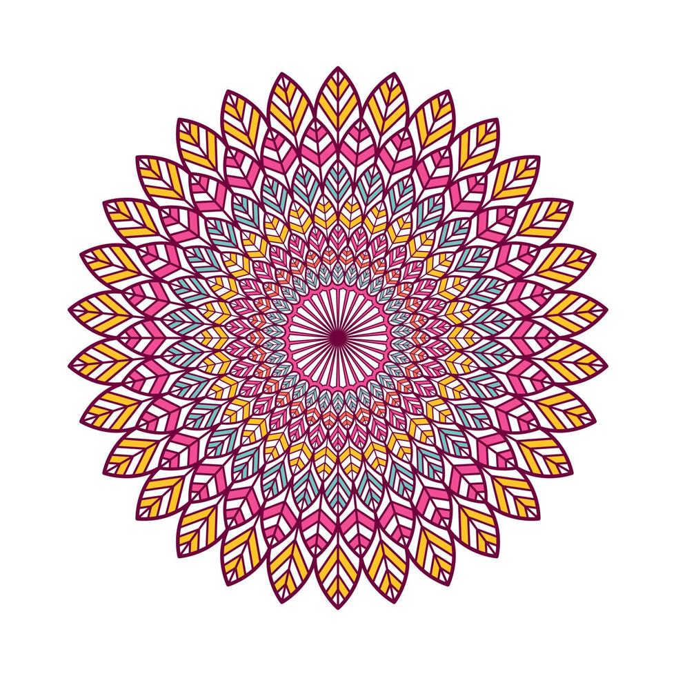 kleurrijke mandala met bloemenornament vector