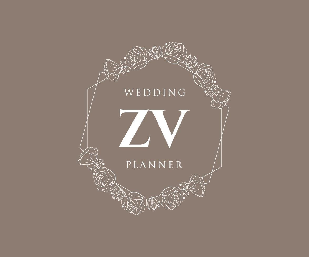 zv initialen brief bruiloft monogram logos verzameling, hand- getrokken modern minimalistisch en bloemen Sjablonen voor uitnodiging kaarten, opslaan de datum, elegant identiteit voor restaurant, boetiek, cafe in vector