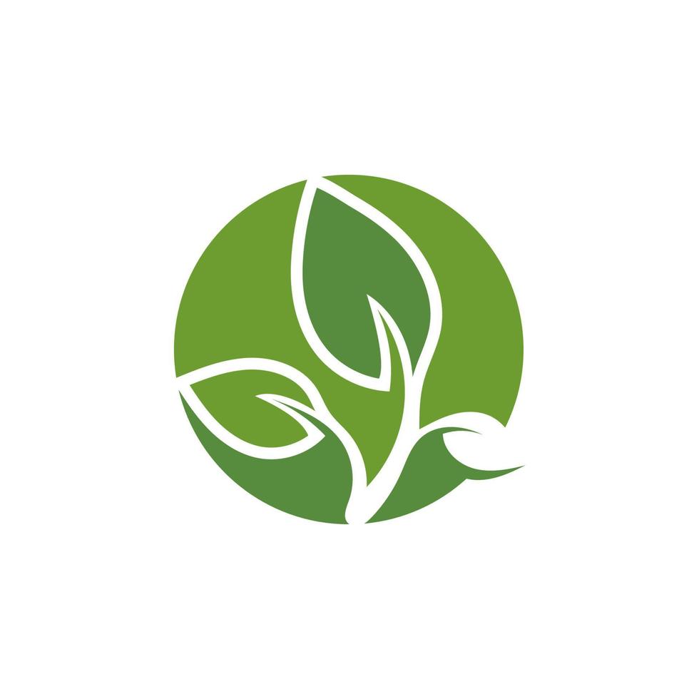 logos van groen icoon logo en symbool ecologie vector